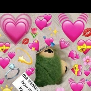 Meet your Posher, Karely